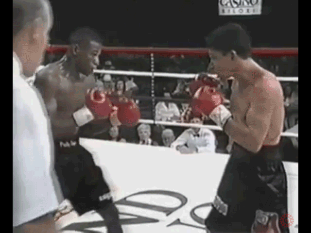 Floyd Mayweather DROPPED FINISHED Jesus Chavez R5 .gif