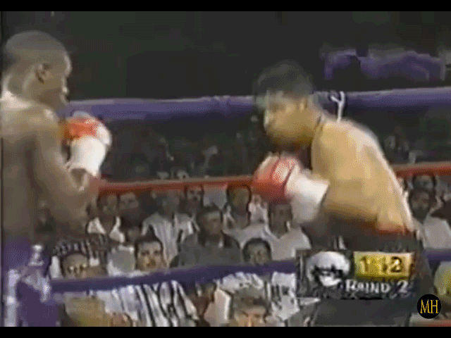 Floyd Mayweather DROPPED Louie Leija R2 .gif