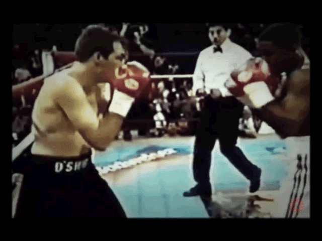 Floyd Mayweather gets hit with RC vs Larry O'Shields R2 replay .gif