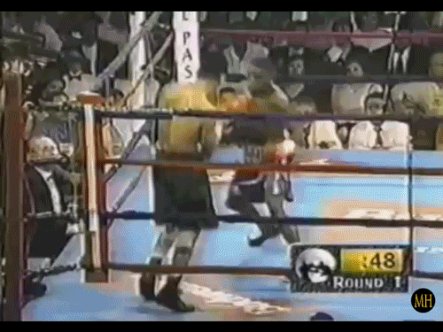 Floyd Mayweather STAND 8 COUNT vs Louie Leija R1 .gif